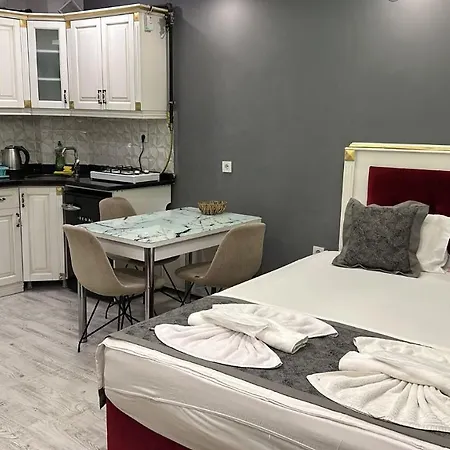 阿拉特公寓 公寓式酒店 *